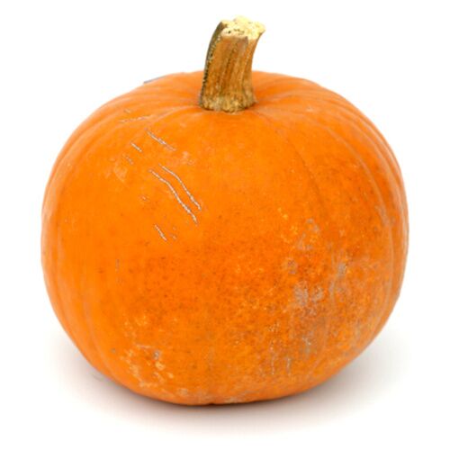 CALABAZA HALLOWEEN