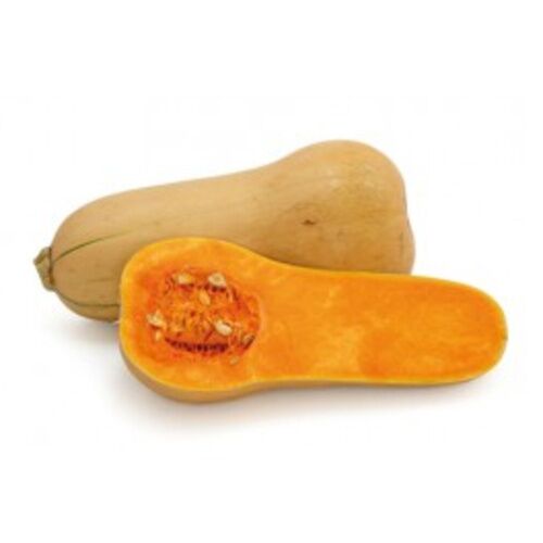 CALABAZA TROMPETERA