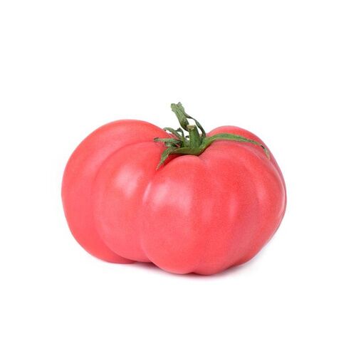 TOMATE ROSA