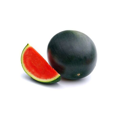 SANDIA NEGRA