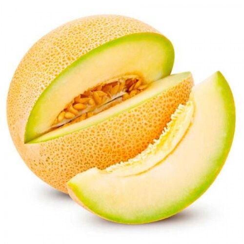 MELÓN GALIA