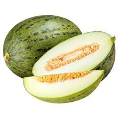 MELÓN PIEL DE SAPO