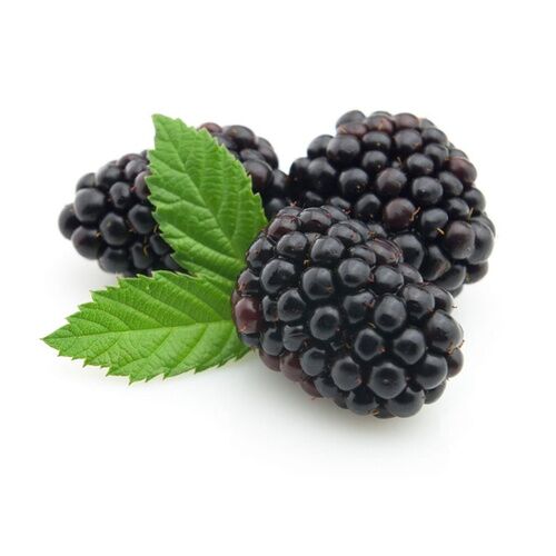 MORAS