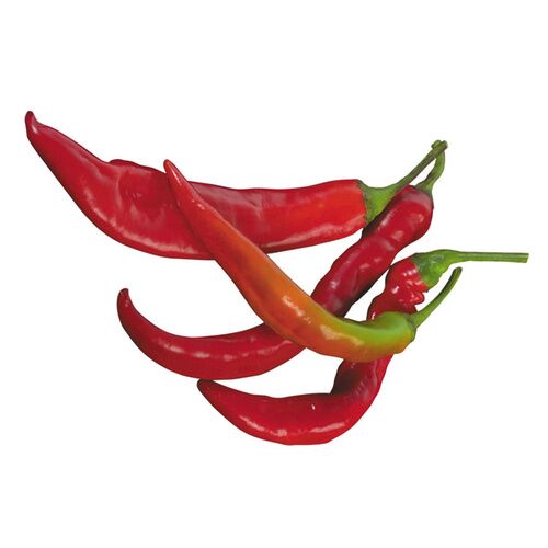 PIMIENTO PICANTE ECO