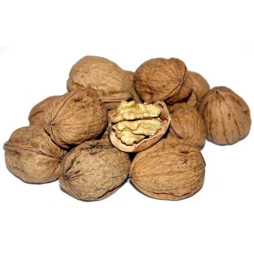 NUECES FRANQUETTE