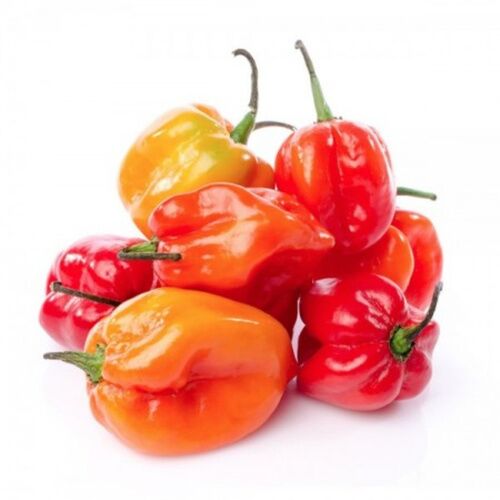 PIMIENTOS HABANERO